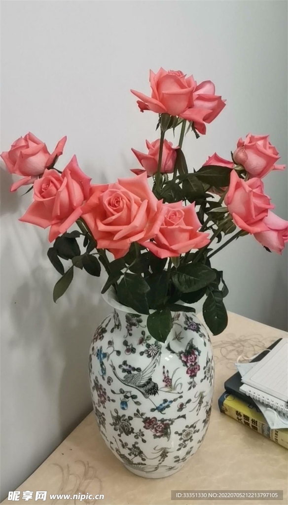 紅色長壽花