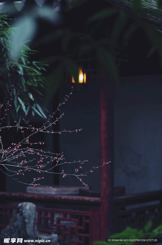 戶外夜晚花枝復(fù)古建筑