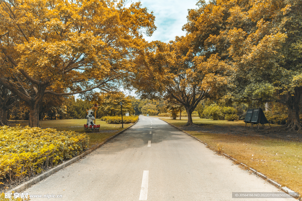 戶外秋季公園道路