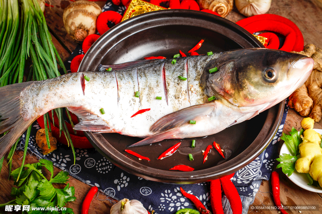 新鮮草魚食材
