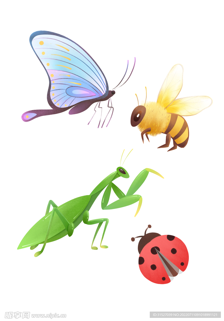 昆虫插画元素