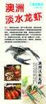 澳洲淡水龙虾  展架海报
