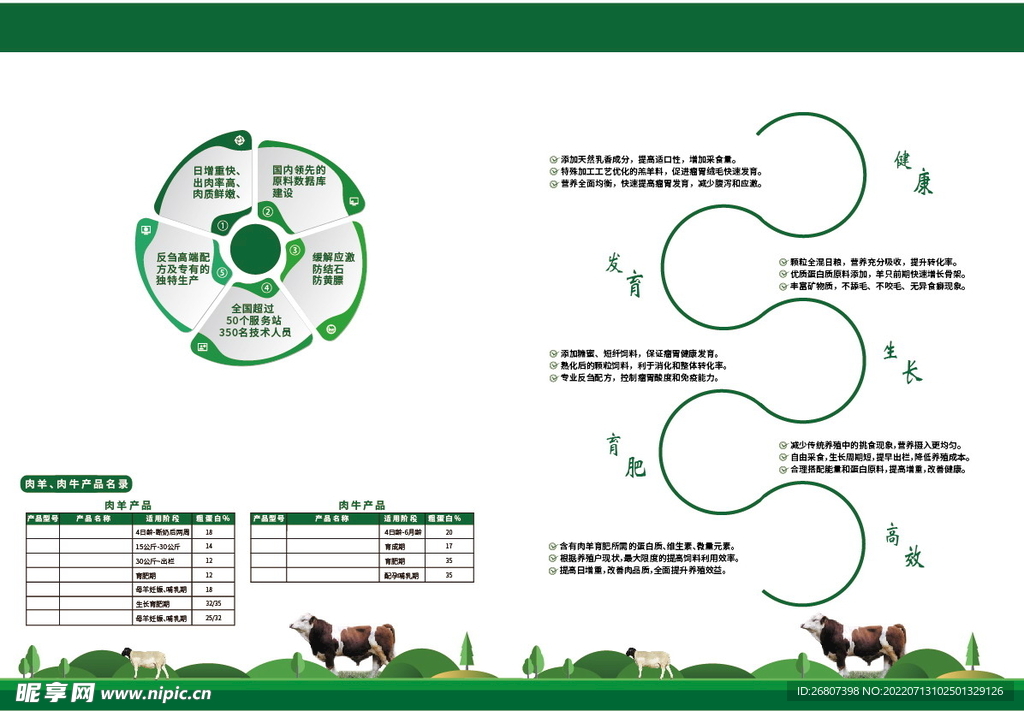肉牛宣传折页