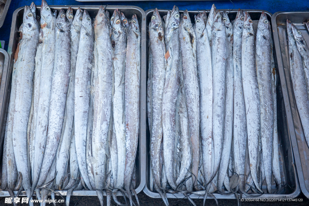 新鮮帶魚海鮮食材