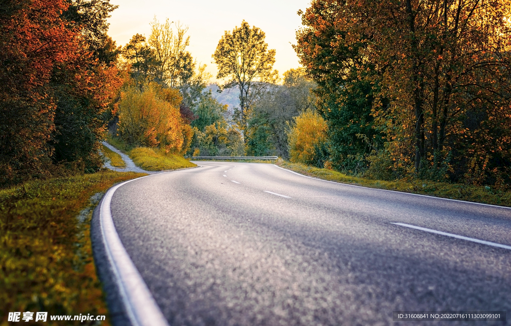 陽光小路