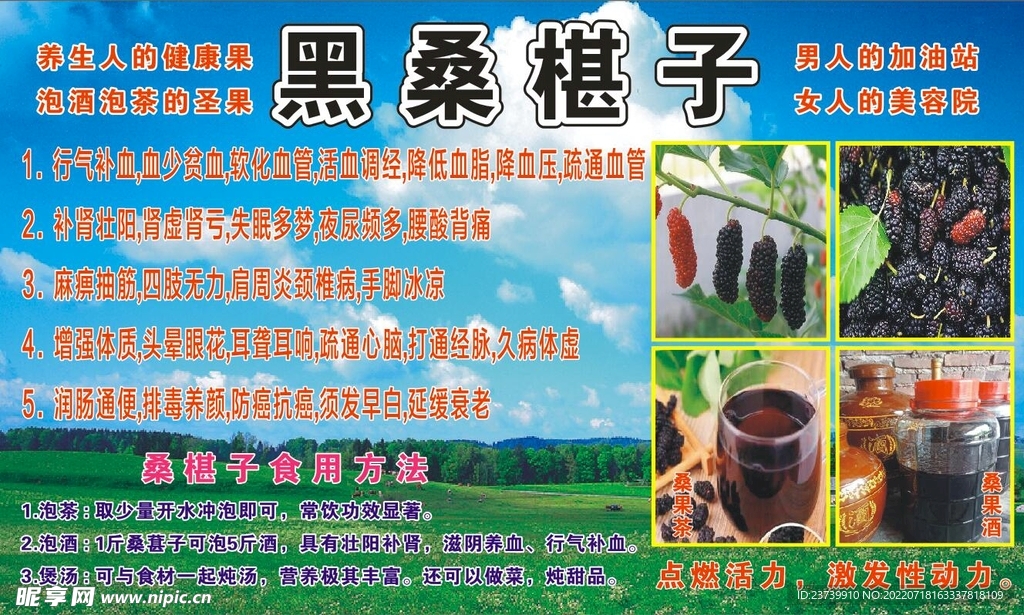 黑桑葚 