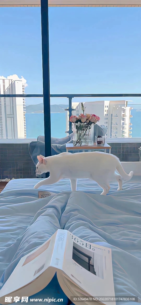 夏日海邊的假期生活