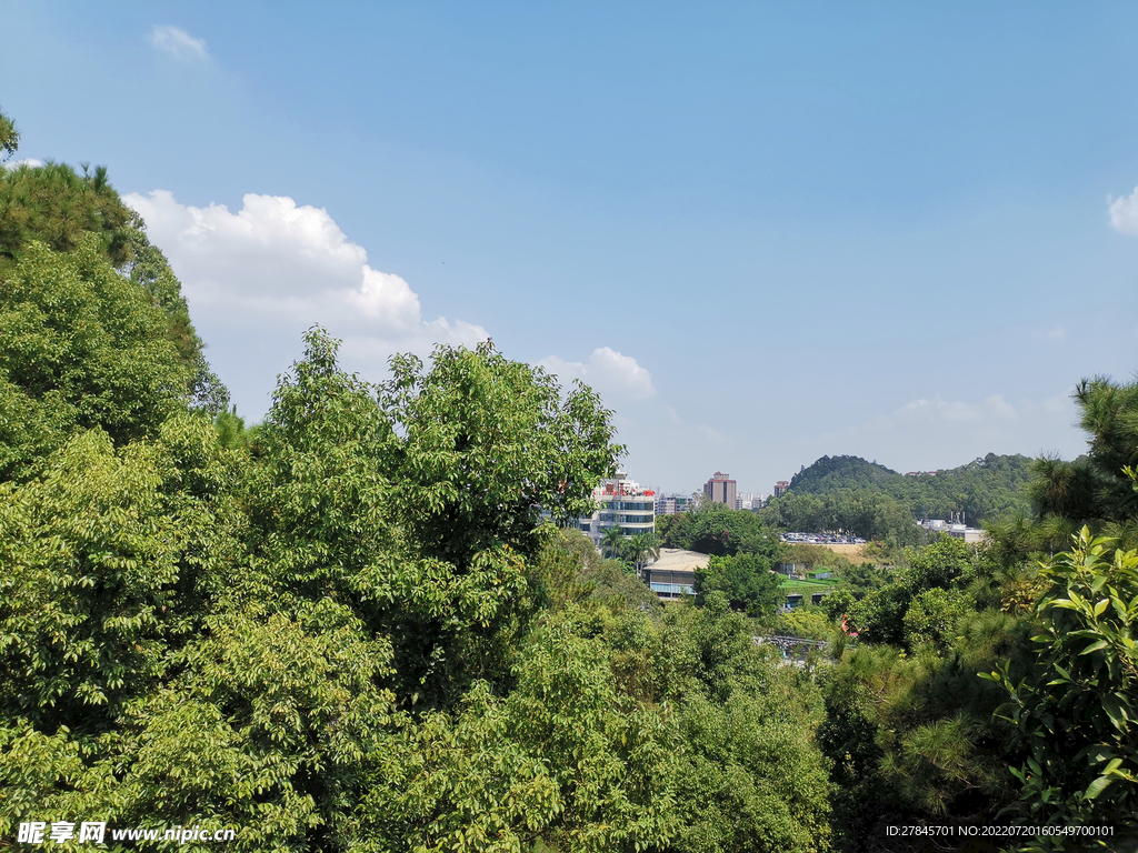 风景