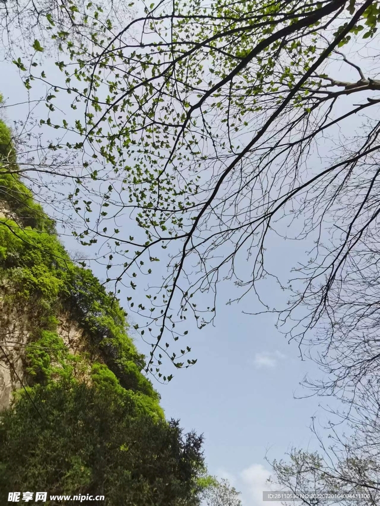 自然風景