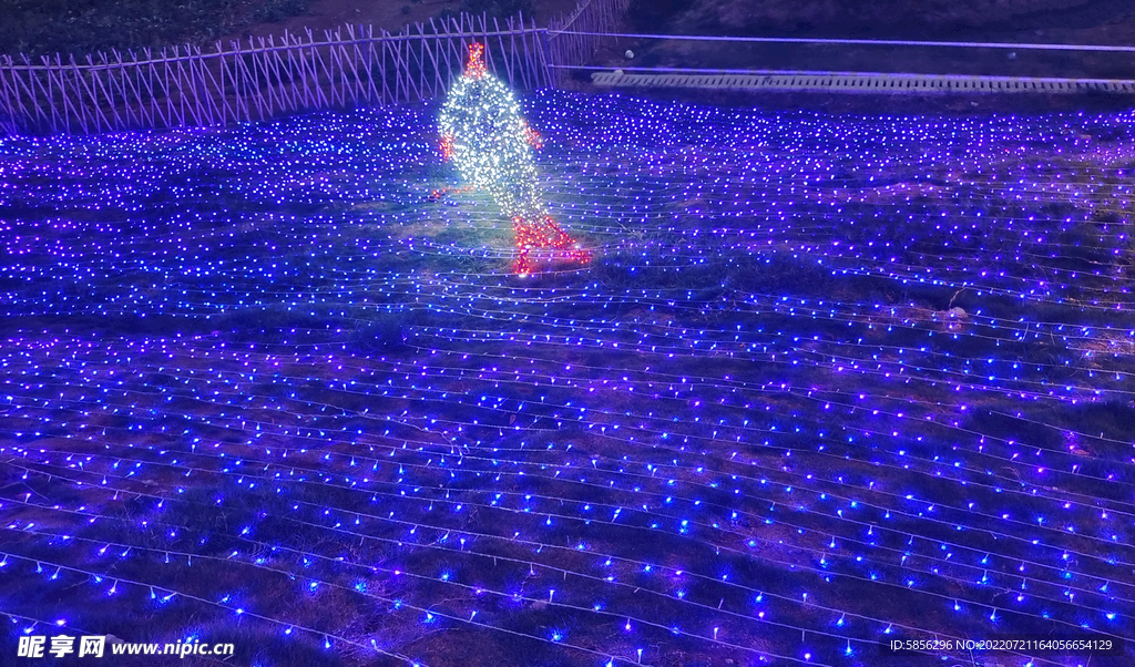 夜景燈光  
