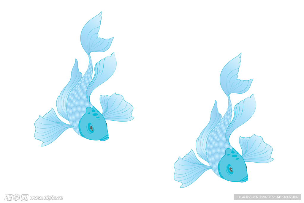 藍色魚