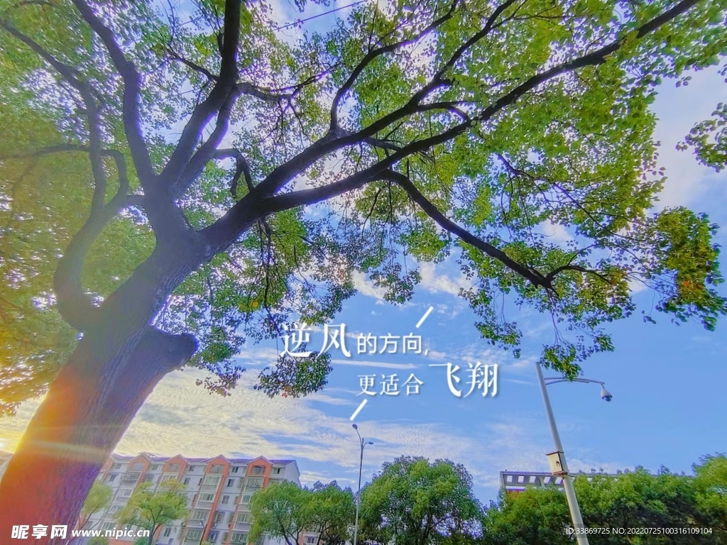 夏日