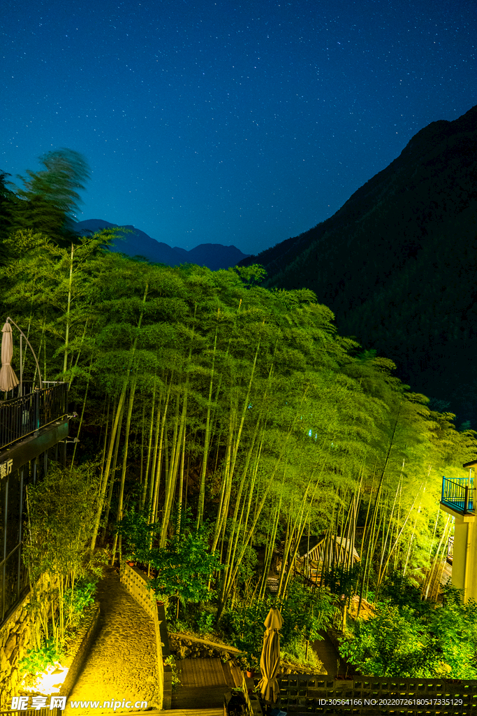 戶外夜晚公園旅游
