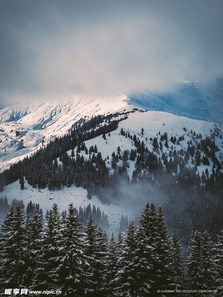 雪間山脈