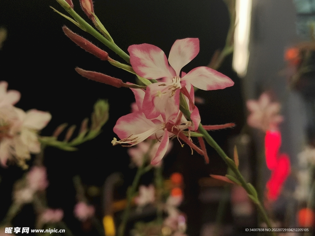 花
