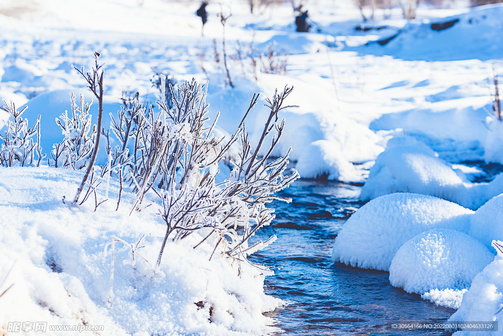 戶外冬季雪地湖水