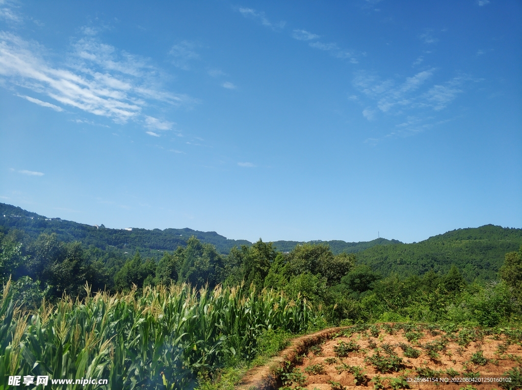 丘陵山脈