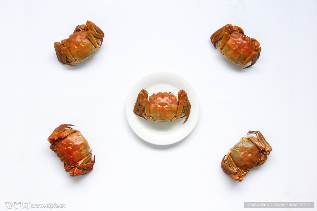 大閘蟹美食食材
