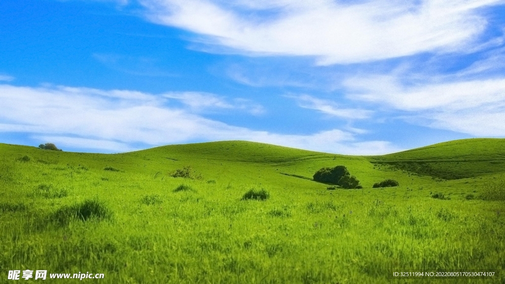 藍天和草地