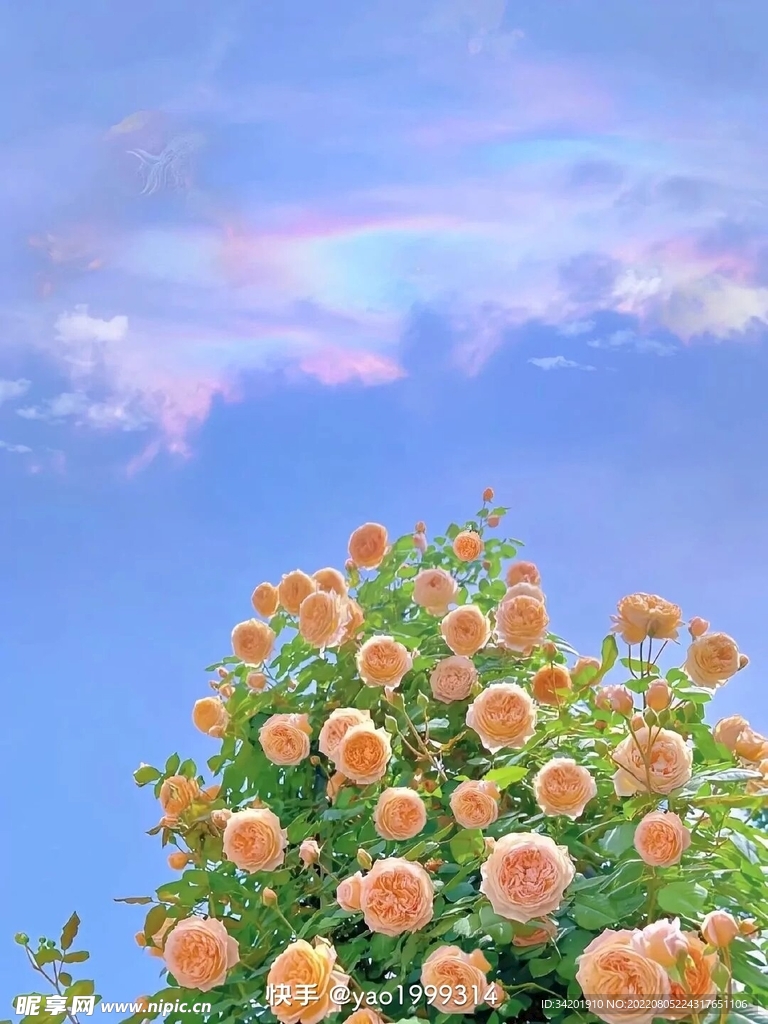 花