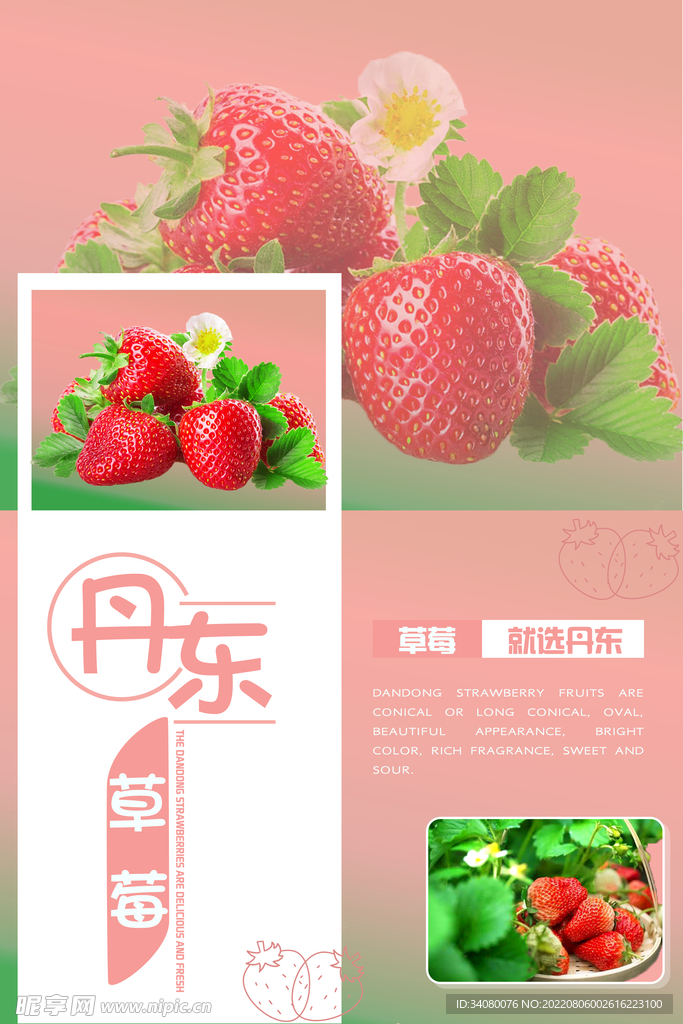 丹东草莓海报