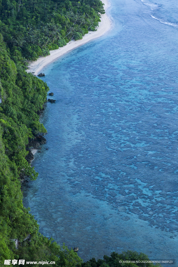 戶外海水森林自然景點(diǎn)