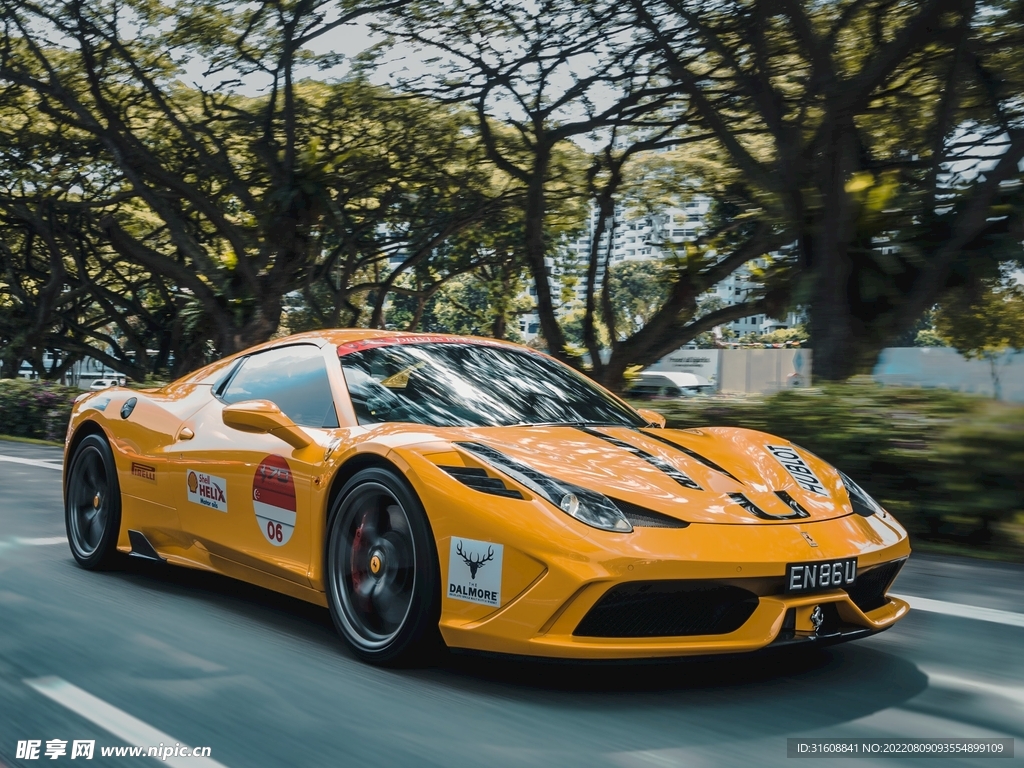 大豪車
