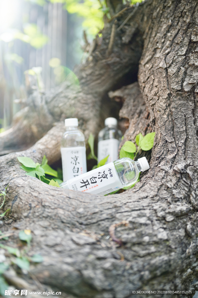 涼白開登山飲水