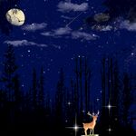 星空與鹿