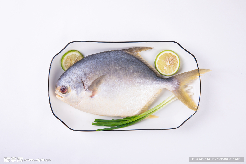 新鮮金鯧魚食材