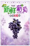 新鲜水果葡萄紫葡萄