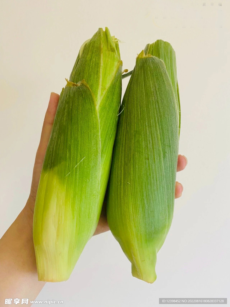 玉米棒