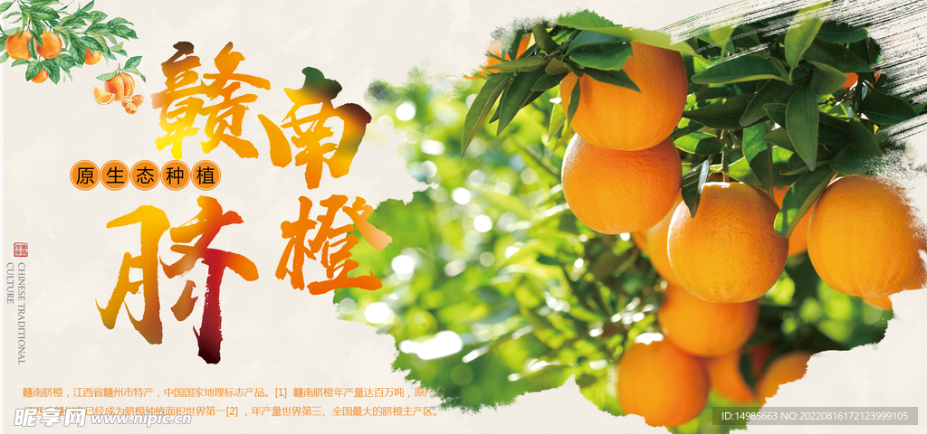 臍橙海報(bào)