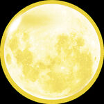 中秋 金黄色月亮 圆月