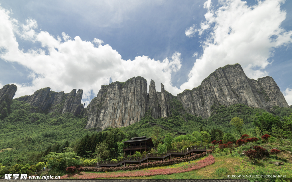 戶外山峰森林自然