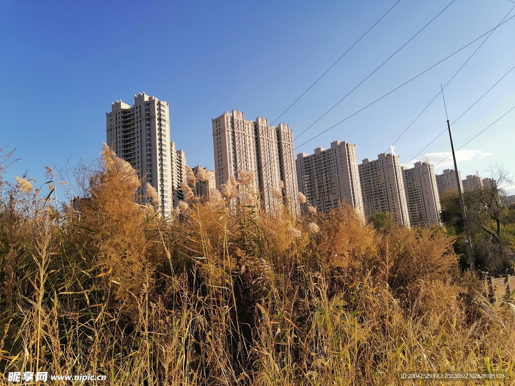 城市住宅