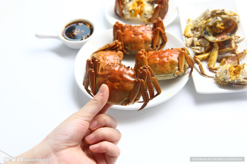 大閘蟹美食