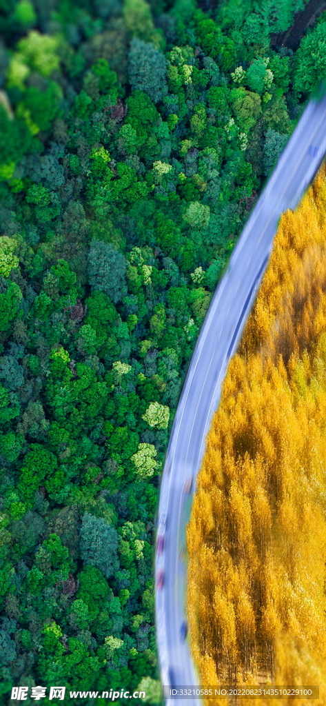 天气季节公路森林背景素材海报