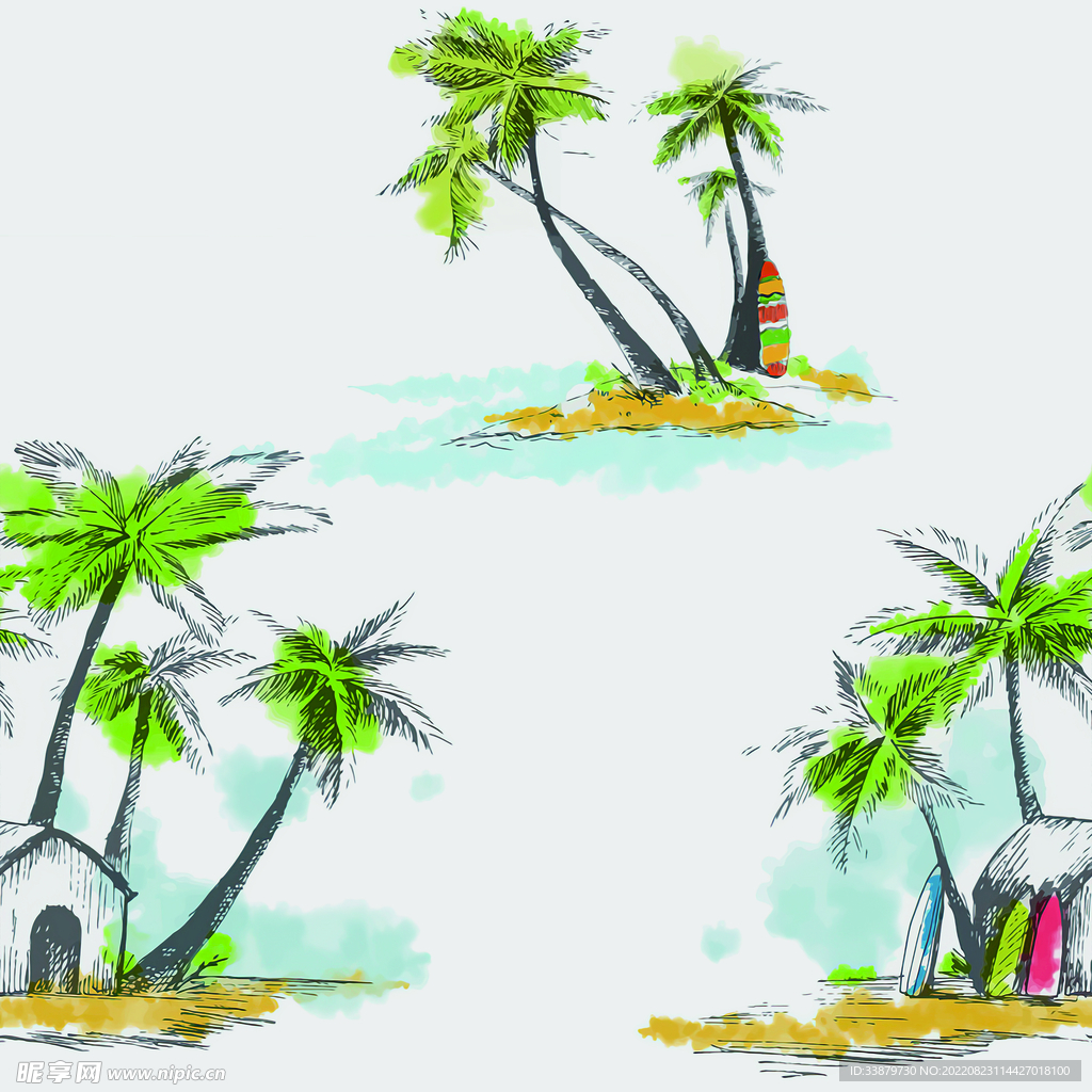 椰树  热带