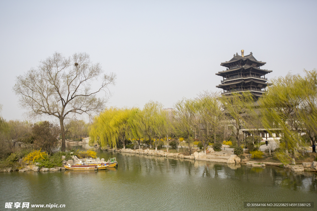 公園湖面湖水