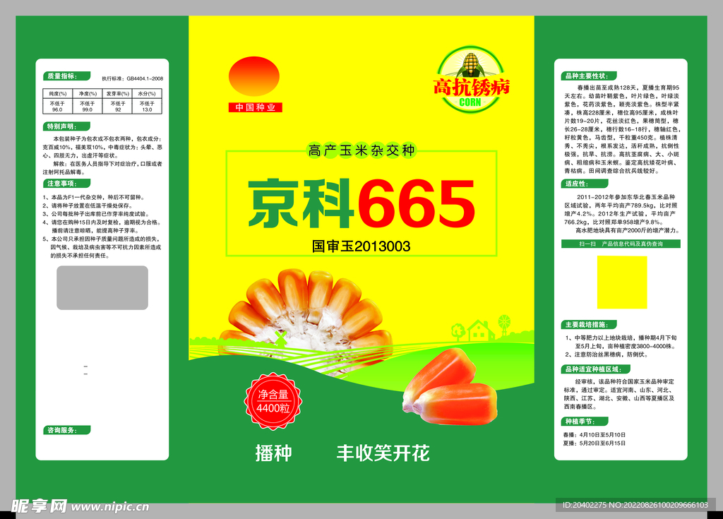 玉米種子