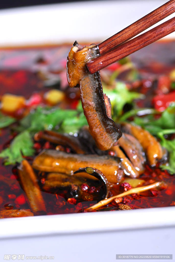 土鱔魚