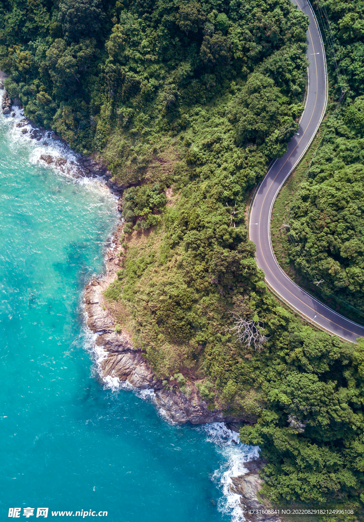 林間道路
