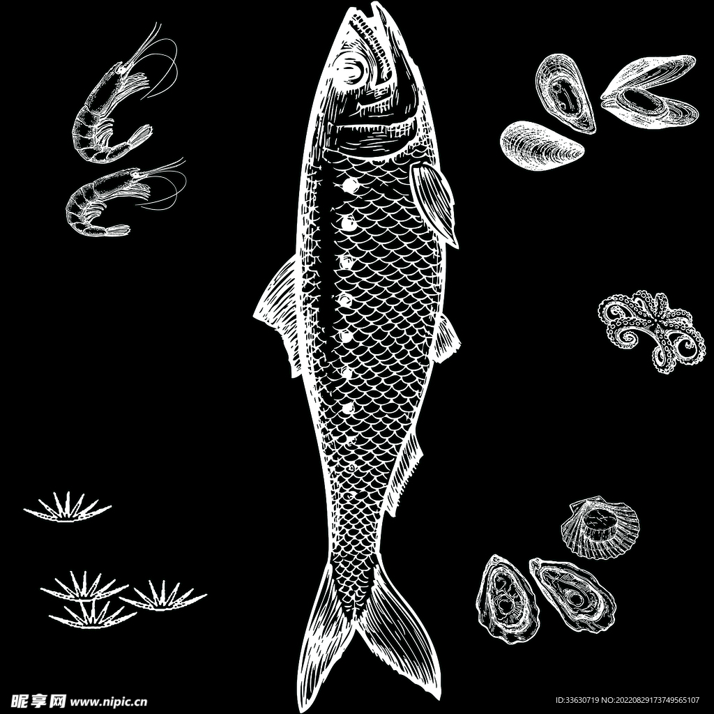 魚類 素材