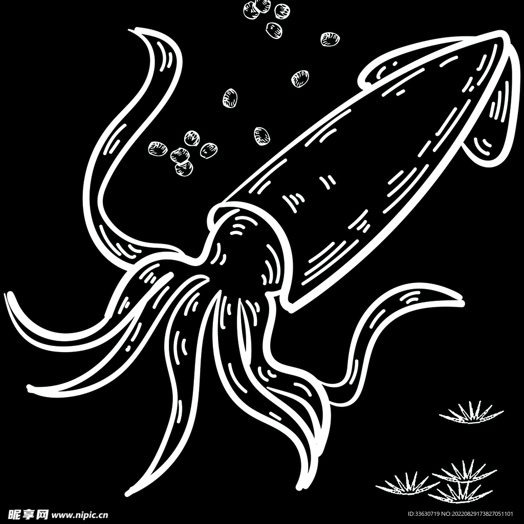 魷魚 素材