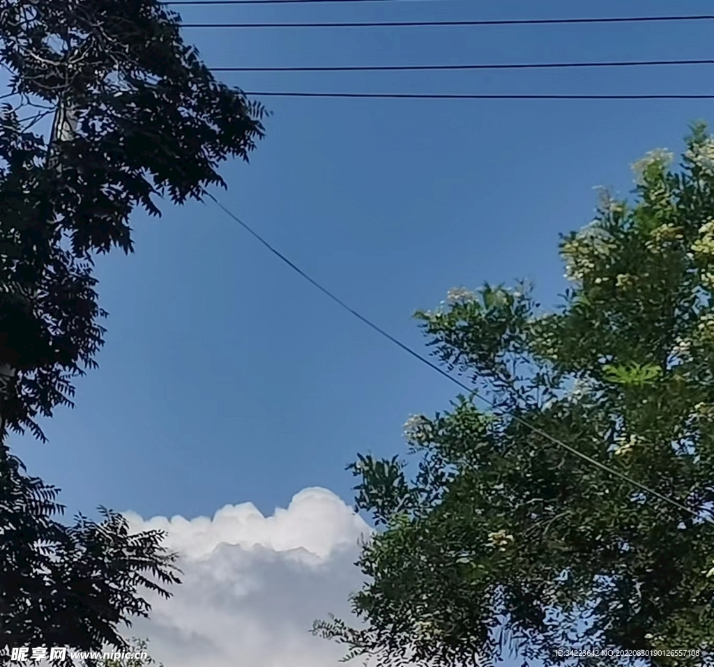夏日