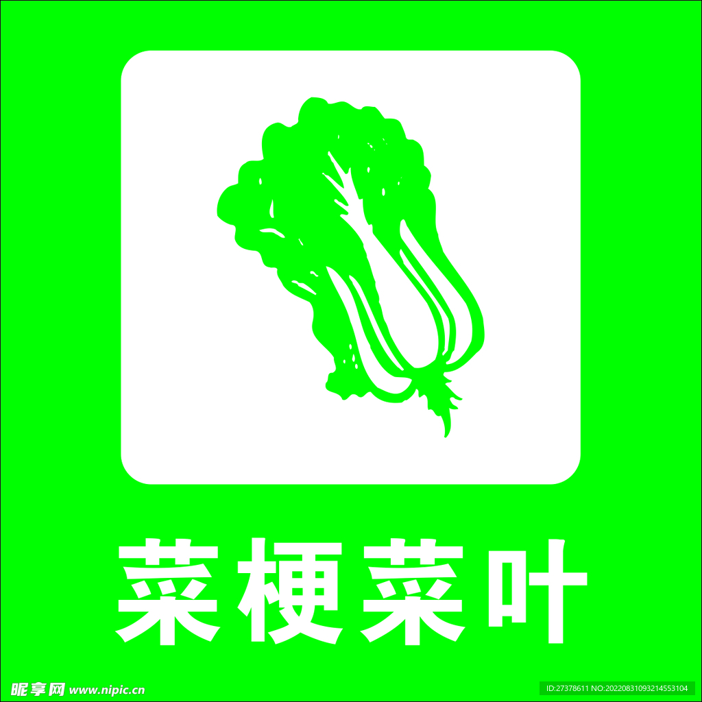 菜梗菜葉