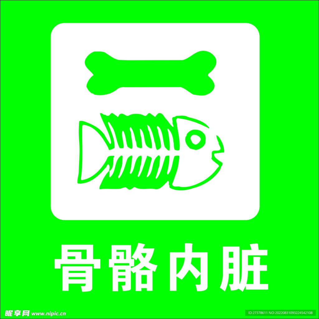 骨骼內(nèi)臟