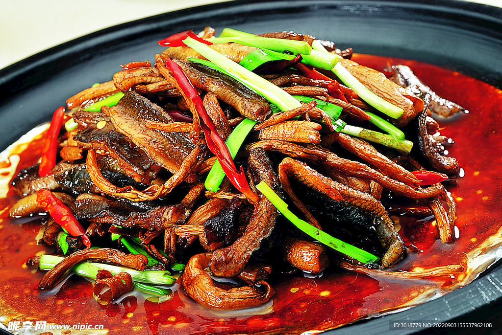 鮮菇鱔魚