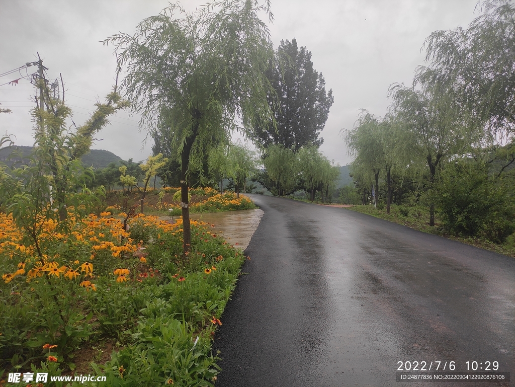 雨后湿漉漉的路